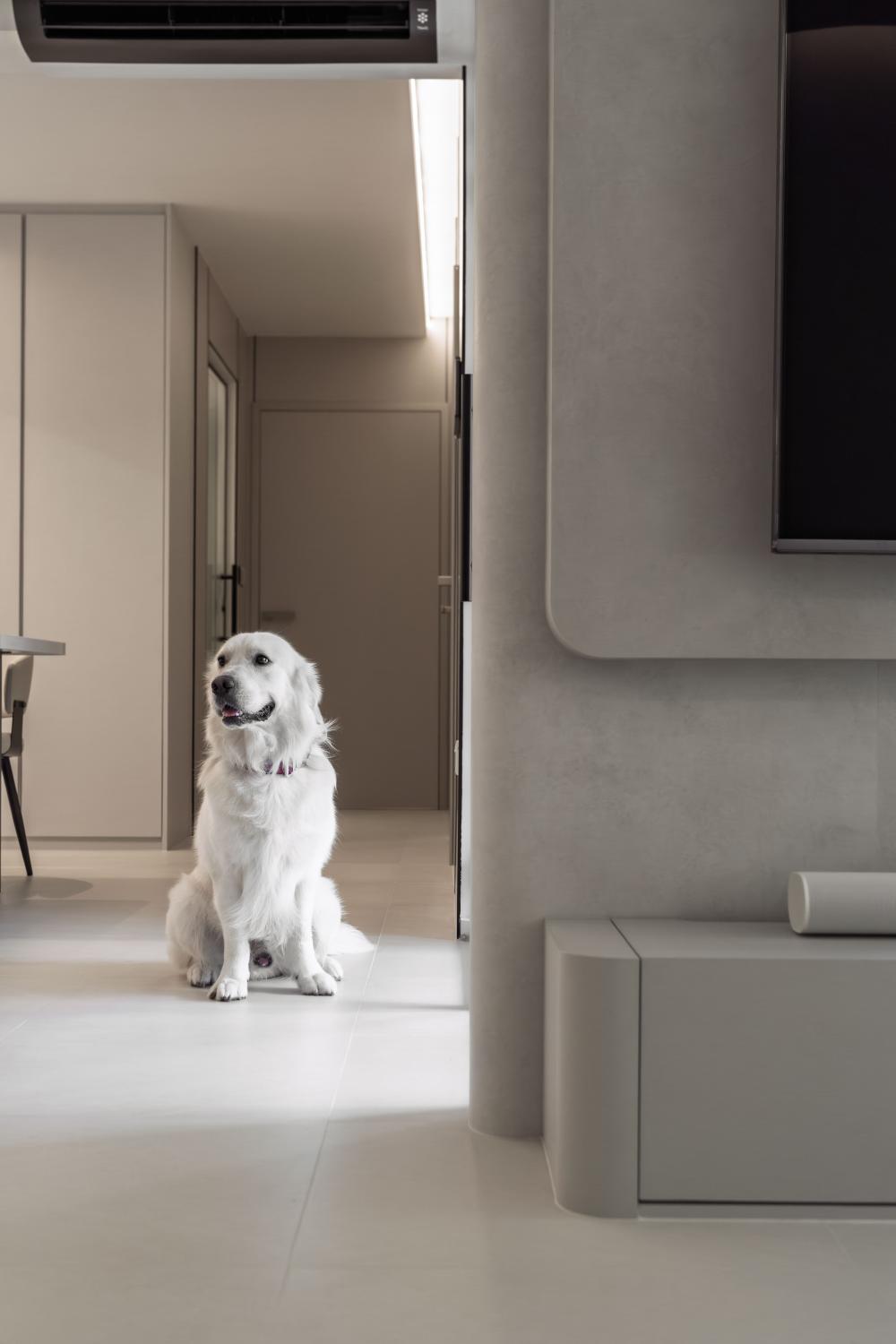 Modern Living Room with TV Console and Feature Wall