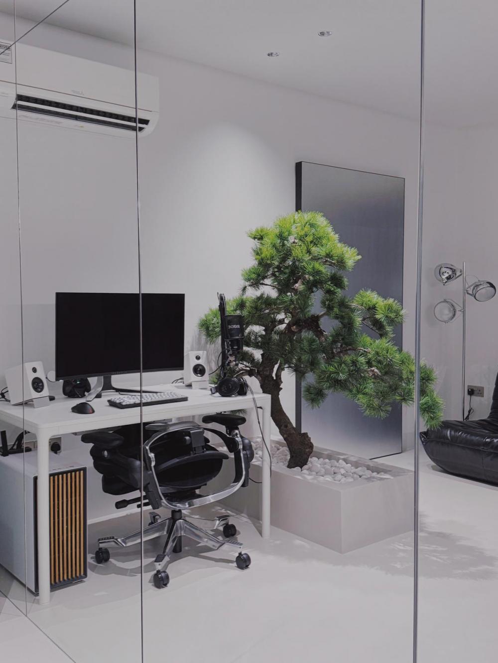 Industrial Study with Mirror and Planters