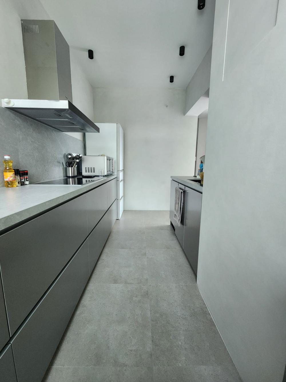 Industrial Kitchen with Countertop and Homogeneous Tiles