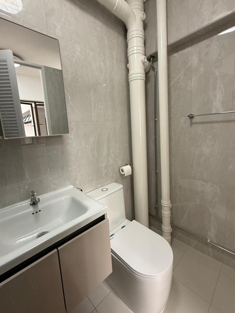 Modern Bathroom with Homogeneous Tiles and Mirror
