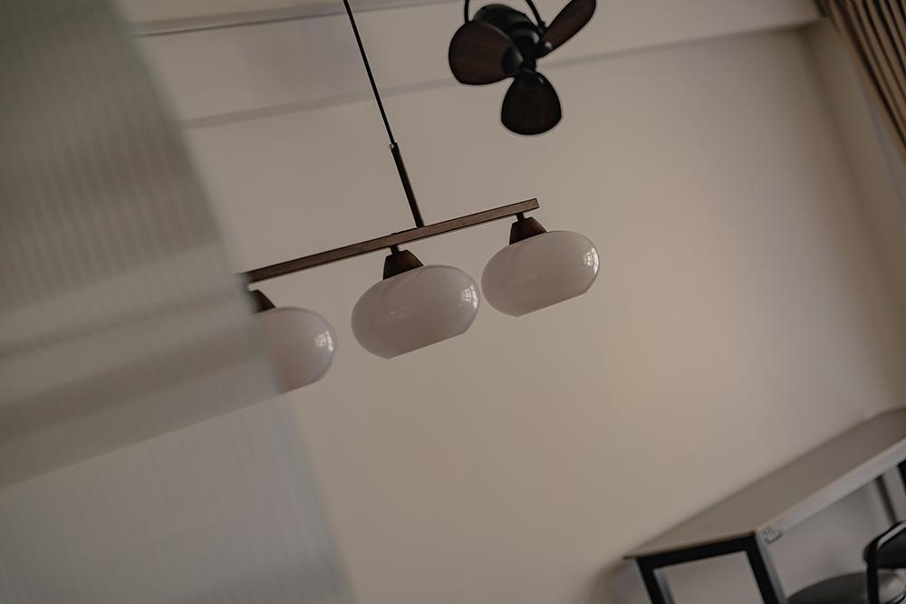 Scandinavian Dining Room with Ceiling Fan and Lighting
