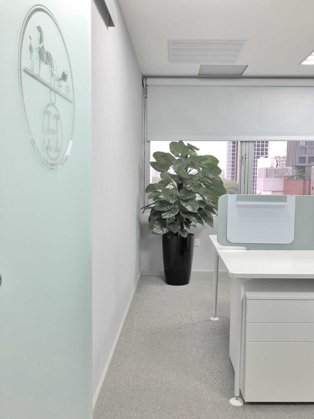 Minimalist Office with Bookshelf and Desk